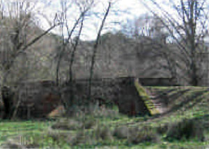 arboleda